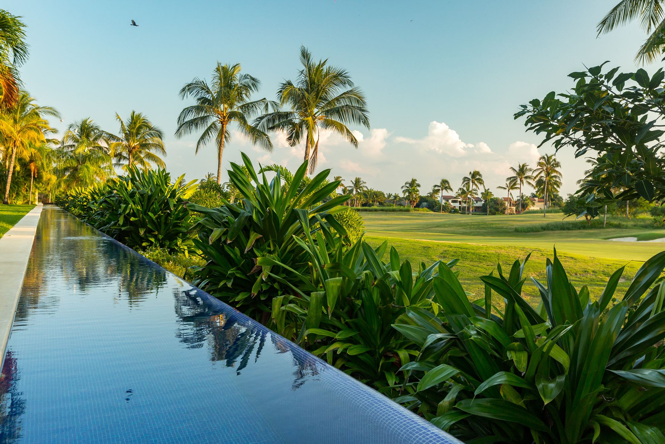 Pool terrace at Las Terrazas on the 14th fairway, Punta Mita