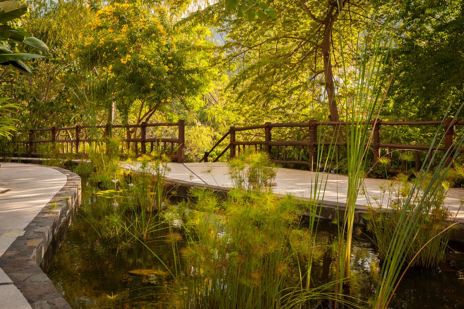 Landscaped riverwalk gardens at Rivera Cuale, Puerto Vallarta